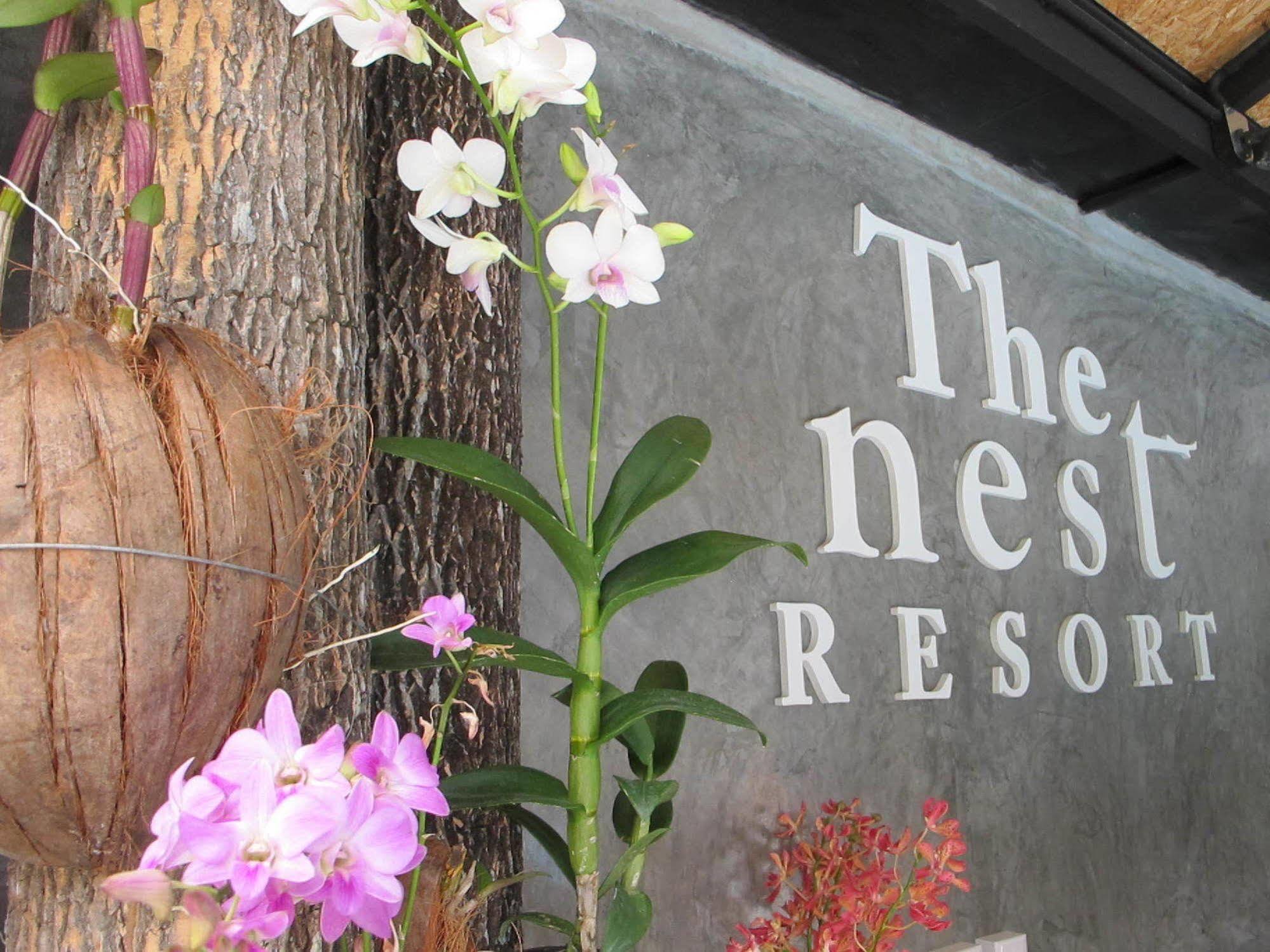 The Nest Resort Patong Exterior foto